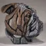 Edge Sculpture Bulldog Bust - Fawn