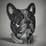 Edge Sculpture French Bulldog Bust (Pied)