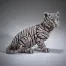 Edge Sculpture Siberian Tiger Cub