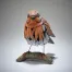 Edge Sculpture Robin