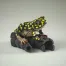 Edge Sculpture African Frog (Yellow Spot) Figure