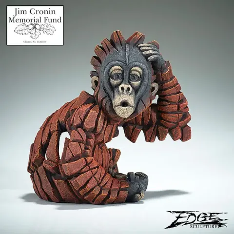 Orangutan Baby "Oh" Numbered Edition