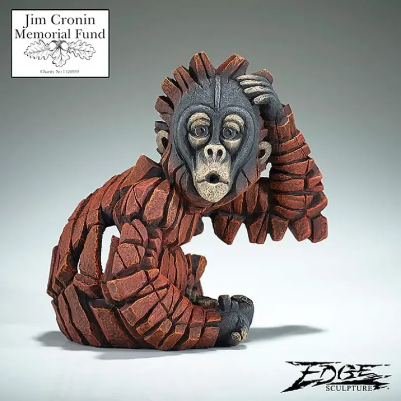 Orangutan Baby "Oh" Numbered Edition